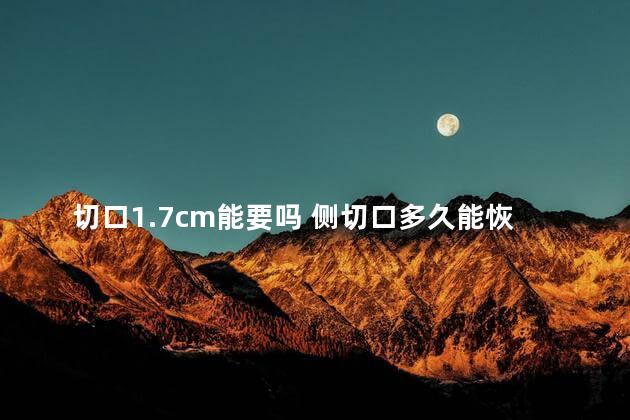 切口1.7cm能要吗 侧切口多久能恢复和原来一样